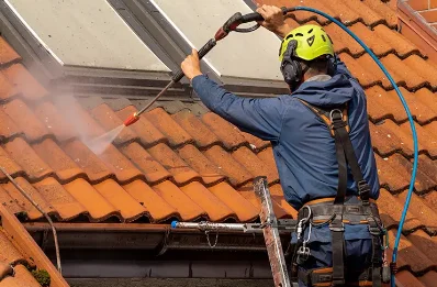 Démoussage et hydrofuge de toiture à Roche-Noire